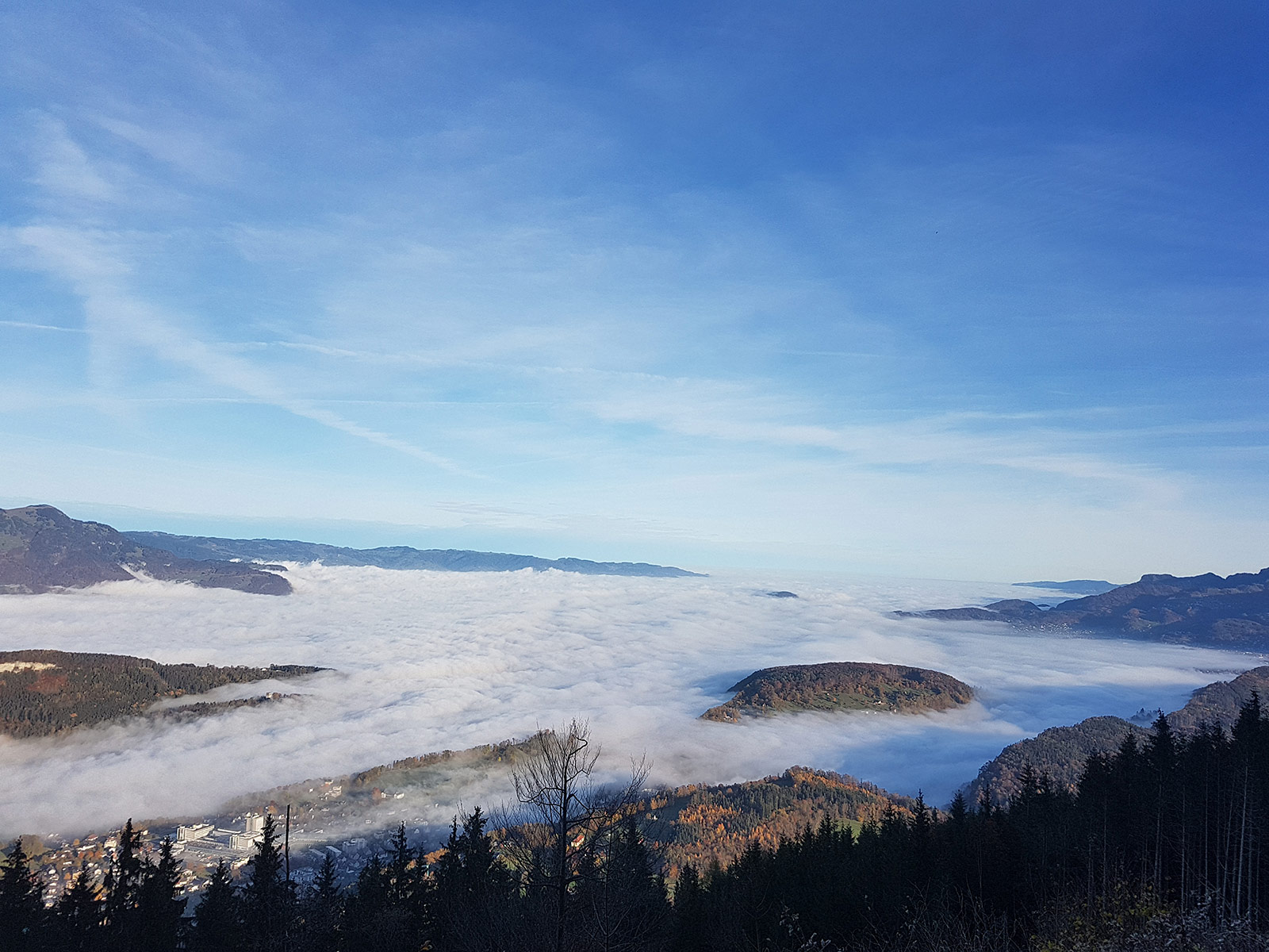 Rheintal Fog, Feldkirch
